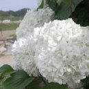 영주 자전거공원 이미지