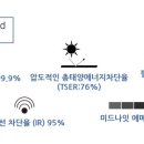 티나대리점 이미지