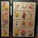 봄맞이 꽃그림 보태니컬 아트 이미지