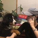 티아라펫 이미지