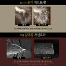 허니블룸 이미지