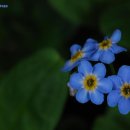 파주대원초등학교 이미지