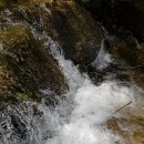 맑은물소리 이미지