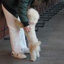 분도유치원 이미지