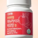 니어바이닥터