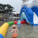 대천항수산물시장 | 대천해수욕장 머드축제 즐기고! 대천항수산시장에서 수산물 포장해온 후기｜신요나수산