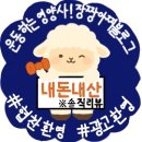 [전남 여수 숙소] 40명 가족여행으로 다녀온 아로하 풀빌라✨ 102호 찐후기 (복층·욕조·바비큐·아기...