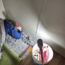 몽통구리 | 수원 아파트 거실 바닥 누수 배관 수리 후 바닥 파쇄 미장 복구 후기