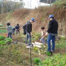 평강농장 이미지