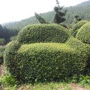 석전농장 이미지