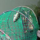 수진좌대 이미지