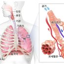 스포츠지도사 2급 - 운동생리학 이미지