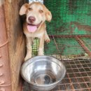 윤환농장 이미지