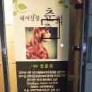 춘희헤어