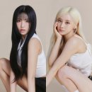 초원 이미지