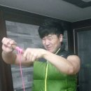 민턴라이프