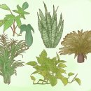 이도39환경 이미지