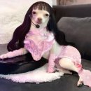 [wawa🥴💅] Concept Photo Release 이미지