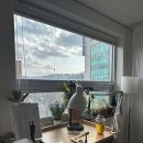 종로-종로-종로-종-298 이미지