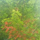 옻샘약수터 이미지