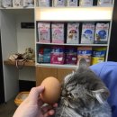 믿음동물병원 이미지