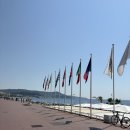 일진상사 | 🇫🇷 Nice is nice~~🏖️