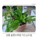 솔향수목원(방문자쉼터) 이미지