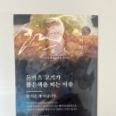 유미카츠 능곡화정점 | 시흥 능곡] 튀김이 제대로인 능곡동 돈까스맛집 유미카츠