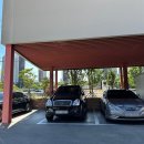 노부스테라 이미지