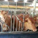 최한수농장 이미지