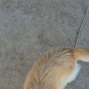 연지농장 이미지