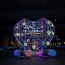 790 | 12월 3주차 소원일기