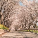 고남저수지 이미지