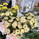 동신코아약국 | 수성구 꽃집, 24시간 꽃다발 구매 가능한 비긴투블룸