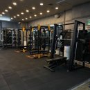 머슬컴퍼니 이미지