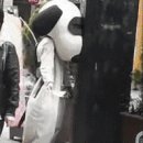 알바