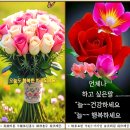 23)03. 莊子장자 外篇외편 第23篇 庚桑楚경상초(第03章)/IAEA 핵사찰 복귀,K-문학,도메넥 교수,구글 CEO 졸업축사,피스 메 이미지