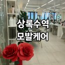 상록수약국 | 잦은 염색으로 손상된 머릿결, 상록수역 모발케어 후기