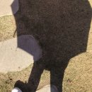 입석메주된장 | [전북 여행 2일차] 익산 진안 가볼 만한 곳 - 고스락, 진미식당, 마이산