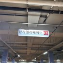 서룡 | 서울 마포 상암월드컵경기장 주차편한 중식맛집 서룡 후기