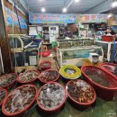 진도수산 | 진도수산시장 맛집｜싱싱함이 다른 목포수산 방문 후기