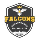 FC Falcon 신규 회원분들을 모집합니다!! 이미지