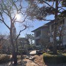 펜션밀물떼 이미지