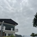 수국정 | 마산 저도 맛집 수국정 내돈내산, 물회 회덮밥 둘 다 만족했던 이유