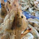 해운호수산 이미지