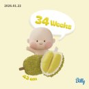 예일약국 | <임신기록>33주~34주차 기록(만삭네컷/임산부 교통사고/태동검사/임신성비염/헤르페스/산전마사지)