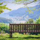 꽃차 힐링 테라피 이미지