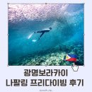 광명여행사 - 중구 퇴계로 213 | 보홀 나팔링 프리다이빙 광명보라카이 내돈내산 후기