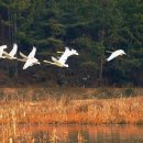 블루마미 이미지