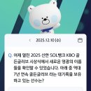 신한동물병원 티스토리